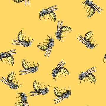 Pattern Wasp drawing flying with detailed wings and body Illustrazione stock