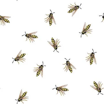 Pattern Wasp flying insect with black and yellow stripes Stock Illustration