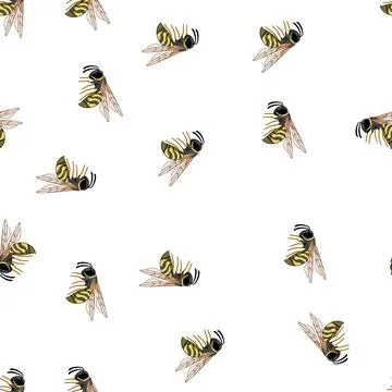 Pattern Wasp flying showing yellow and black striped body Stock Illustration