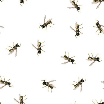 Pattern Wasp insect flying with black and yellow stripes Stock Illustration