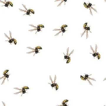Pattern Wasp insect flying or hovering in air イラスト素材