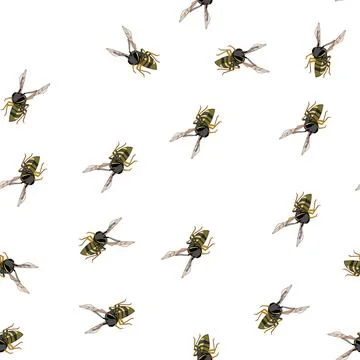 Pattern Wasp insect illustrating nature and summer pest concept イラスト素材
