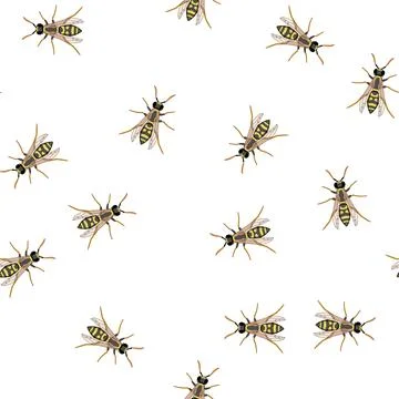 Pattern Wasp insect illustrating nature and danger concepts Stock Illustration