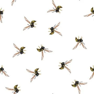 Pattern Wasp species flying with striped body イラスト素材