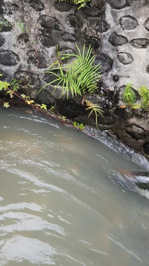 The pattern of water flowing in the village Stock Footage 330637796