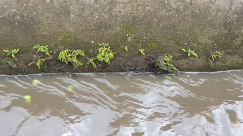 The pattern of water flowing in the village Stock Footage 330638243