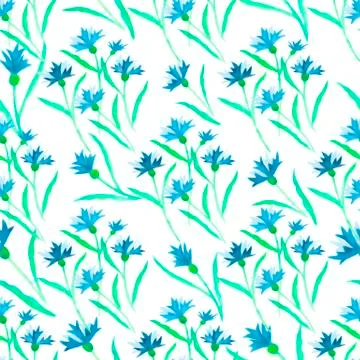 Pattern watercolor blue cornflower border on white Stock Illustration