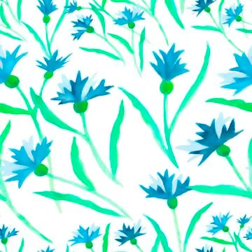 Pattern watercolor blue cornflower border on white 스톡 일러스트