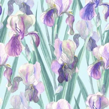 Pattern watercolor flowers iris on turquoise on turquoise Stock Illustration