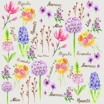 Pattern with watercolor flowers, summer , spring time, botanical art. Fabric  Illustrazione stock