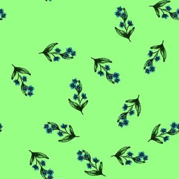 Pattern watercolor forget me not sketch hand drawn イラスト素材