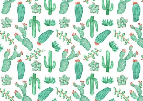 Pattern of watercolor succulent plants Illustrazione stock