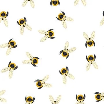 Pattern wax bee cartoon vector 스톡 일러스트
