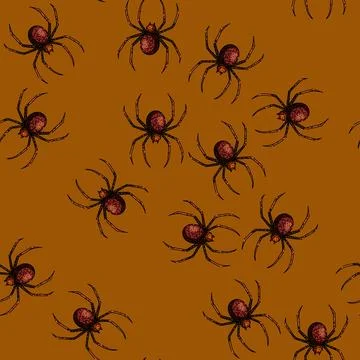 Pattern web spider sketch hand drawn Stock Illustration