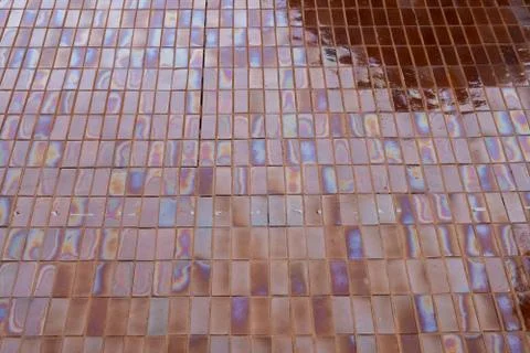 Pattern of the wet footpath floor. Stock Photos
