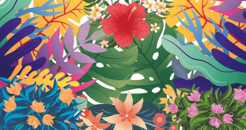 Pattern white background floral flowers spring print graphic summer colorful Stock Illustration