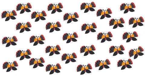 Pattern white background spring print graphic summer butterfly insect Stock Illustration