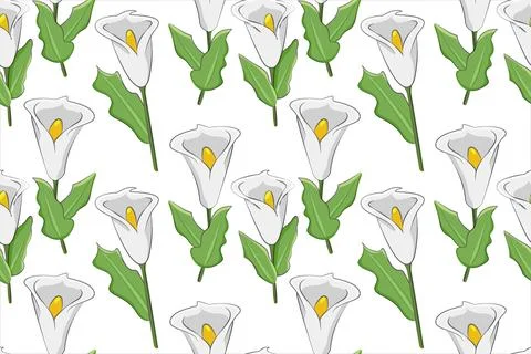 Pattern of white callas. White flowers on a stem with green leaves on a white Stock Illustration