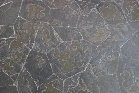 The pattern of the white cement wall. Stock Photos