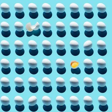 Pattern of white eggs isolated on blue background. Concept Stock Photos