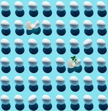 Pattern of white eggs isolated on blue background. Concept Stock Photos