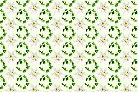 Pattern white lily flower with pink ornate veins with green leaves Illustrazione stock