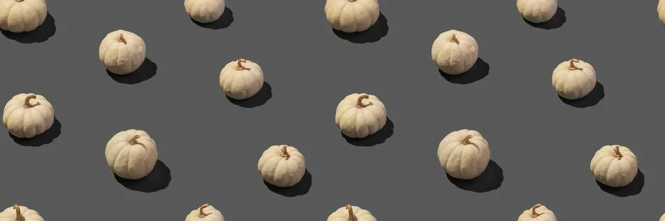 Pattern with white pumpkins on a dark gray background Stock Photos
