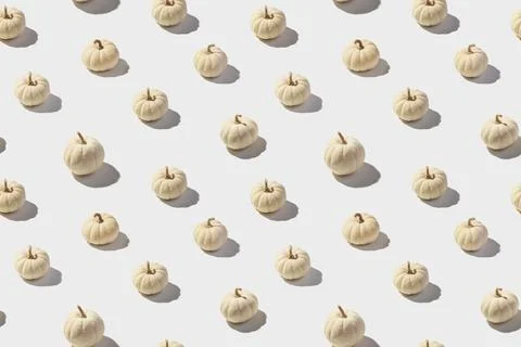 Pattern with white pumpkins on a white background Stock Photos