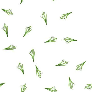 Pattern White snowdrop flower growing, signaling spring season Illustrazione stock