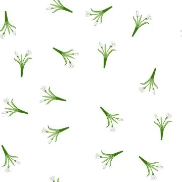 Pattern White snowdrop flowers symbolizing spring awakening and new growth Stock Illustration