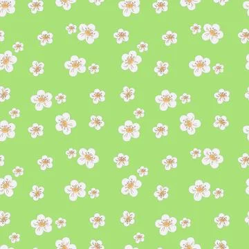 Pattern white spring flowers on green background 스톡 일러스트