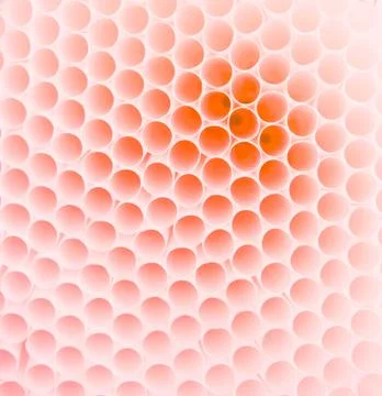 Pattern of white straw for background Stock Photos