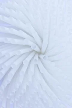 Pattern of white straw for background Stock Photos