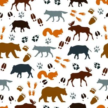 Pattern Wild Animal Paw Tracks Footprints Traces Stock Illustration