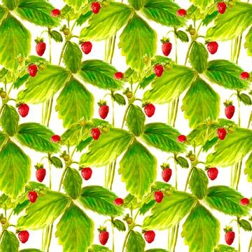 Pattern with wild strawberry Stock Illustration
