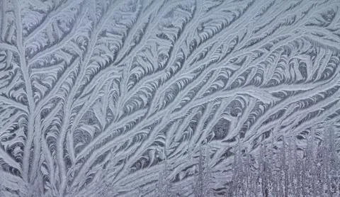 Pattern on a window glass Stock Photos