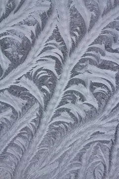 Pattern on a window glass Stock Photos