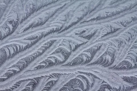 Pattern on a window glass Stock Photos
