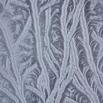 Pattern on a window glass Stock Photos
