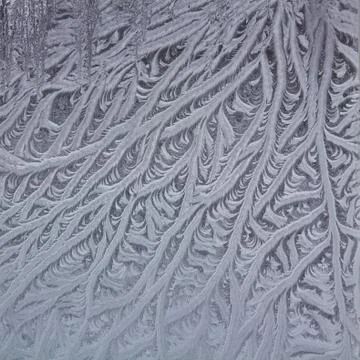 Pattern on a window glass Stock Photos