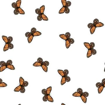 Pattern wing butterfly cartoon vector Stock Illustration