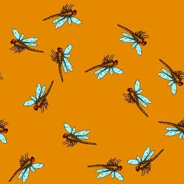 Pattern wings dragonfly sketch hand drawn Stock Illustration