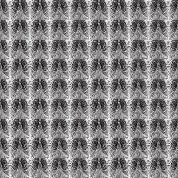 The pattern of wings placed horizontally and vertically is dark gray Stock Illustration
