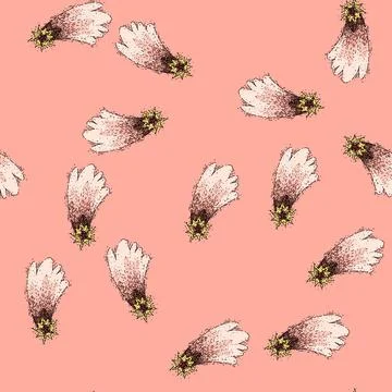 Pattern wish star fall sketch hand drawn イラスト素材