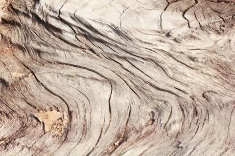 Pattern of wood decay for a background image. Stock Photos