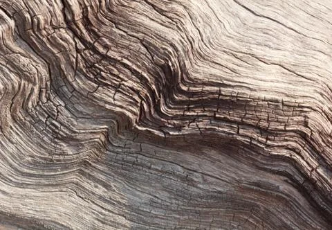 Pattern of wood decay for a background image. Stock Photos