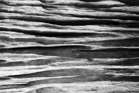 Pattern of the wood Stock Photos