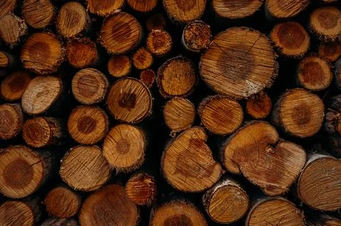 Pattern of wooden logs stacked together Stock Photos