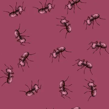 Pattern worker ant sketch hand drawn 스톡 일러스트