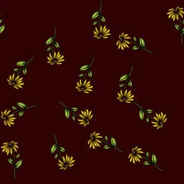 Pattern yellow black eyed susan sketch hand drawn Stock Illustration